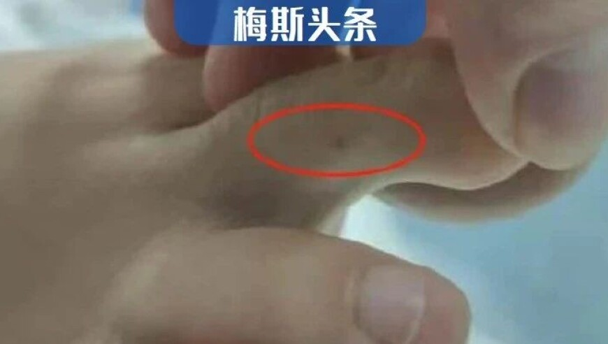 澳门六合资料,联合国新闻中心发了王一博,典故解疑_移动版V4.15